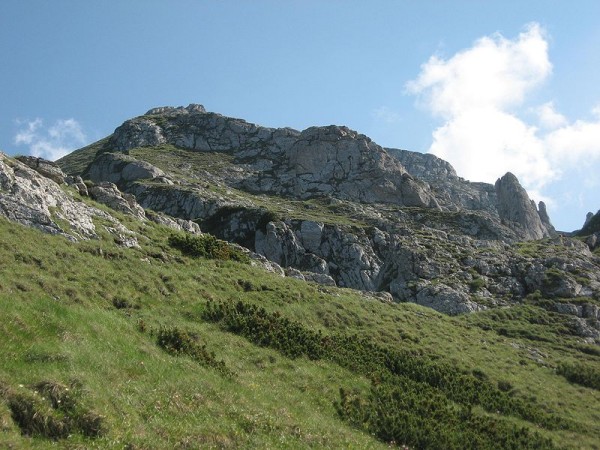 bucsoiu
