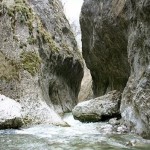 cheile-piatra-baltii