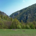 cheile_ampoitei2