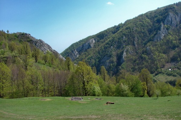 cheile_ampoitei2