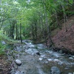 cheile_ampoitei4