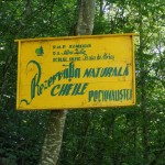 cheile_pociovalistei3
