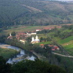crisul negru la borz 003