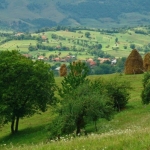 defileul-crisului-negru-la-borz_50ae553e5c968