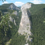hasmas-3-196