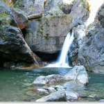 iadolina2ma
