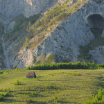 large_foto-articol-9220