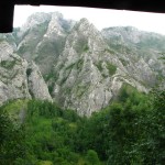 large_foto-articol-9258