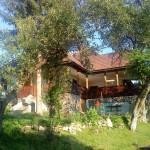large_foto-articol-9260