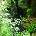 lumea-pierduta-(platou-carstic)_50a580b64778a