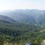 pietrele-galbenei_50a57f05a58a1