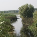 pos mediu