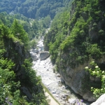 poza-9128449