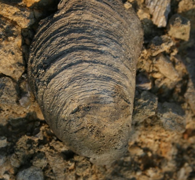 poza-globucraiovei