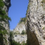 prapastiile-zarnestilor1