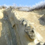 rapa_cu_papusi