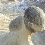 rapa_cu_papusi_1