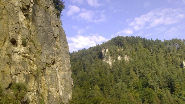 stejerisul_mare