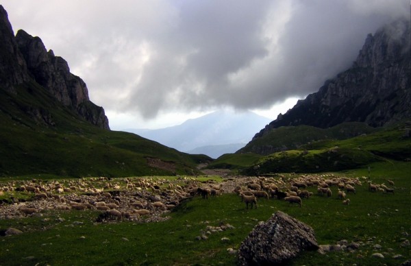 valea_malaiesti1