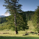 Creasta Oslei, Oslea, Muntii Valcan, Gorj, Hunedoara