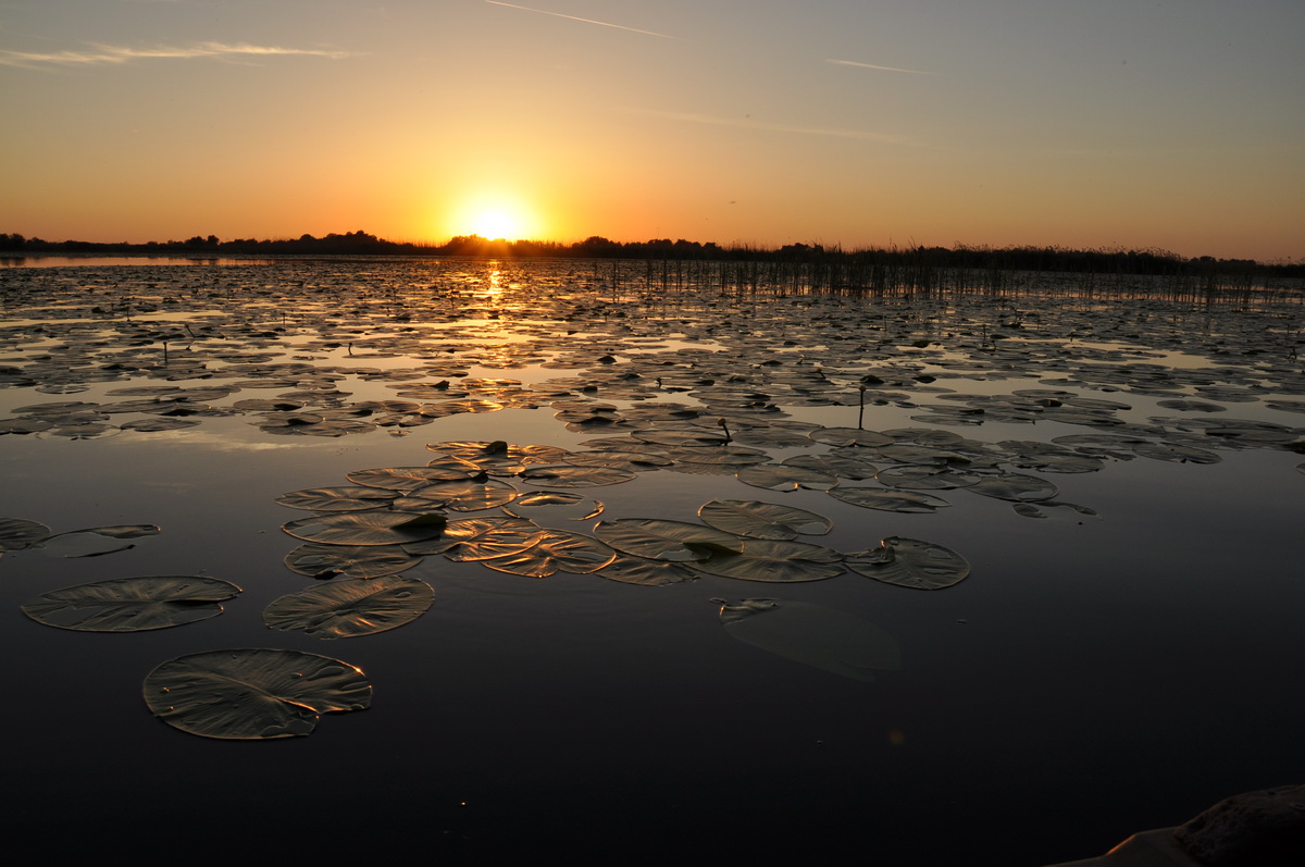 062-Lacul-Potcoava-Delta-Dunarii_resize