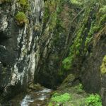 AP27_img_1