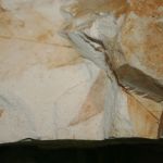 AP28_img_1