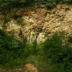 AP29_img_1