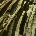 AP29_img_2