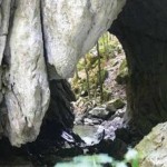Cheile-Uibarestilor-20101215110743