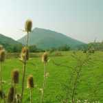 Cornete,podisul Mehedinti