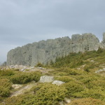 DSCF4191