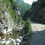 DSCF4536