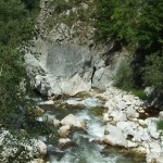 DSCF4538