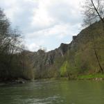 In cheile Lapusului
