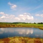 Mlastina-Vlasinescu-20101119154639