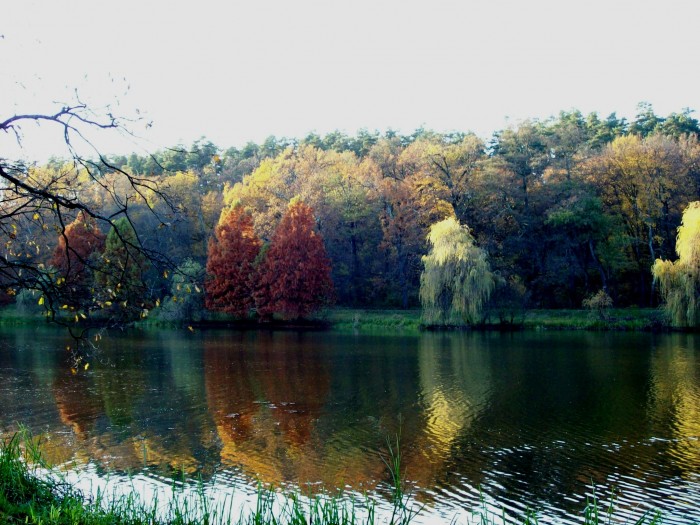 Parcul-Natural-Dumbrava-Sibiului-20110211151707