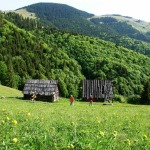 Poiana-Narciselor_21