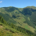 Rezervatia-Arcer---Tibles---Bran-20101122092730