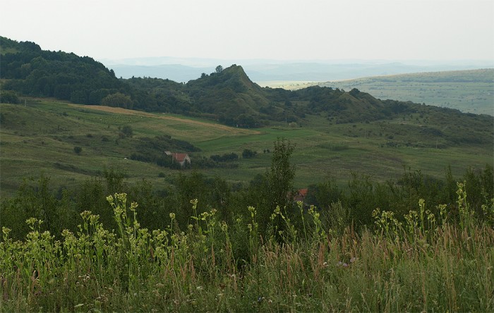 Rezervatia-Fanetele-Clujului-20101129163030