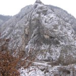 Rezervatia-Naturala-Calcarele-din-Dealul-Magura-20101215144221