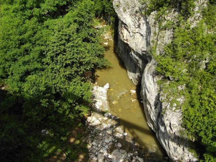 Rezervatia-Naturala-Cheile-Crivadiei-20101215135617
