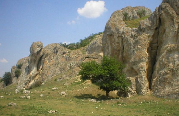 Rezervatia-Naturala-Masivul-Cheia-20110208113537