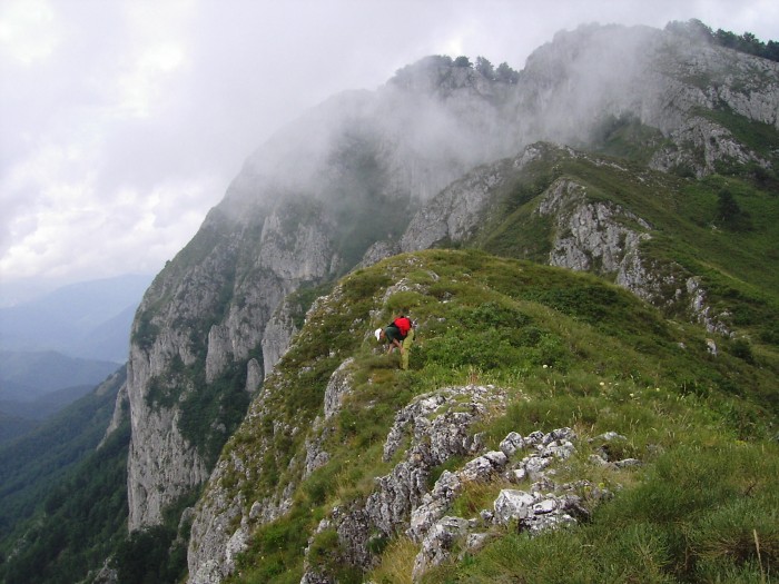 Rezervatia-naturala-Piatra-Closanilor-20101104132139