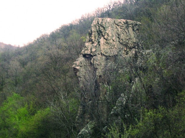Sfinxul-de-la-Toplet-Valea-Cernei-630x472