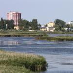administrator-2014-07-23-175252-mlastina-hergheliei
