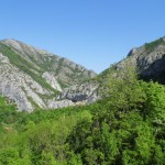 album_5532_113242
