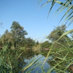 balatau2