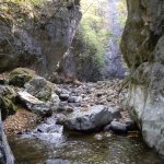 chei-crivadia-2