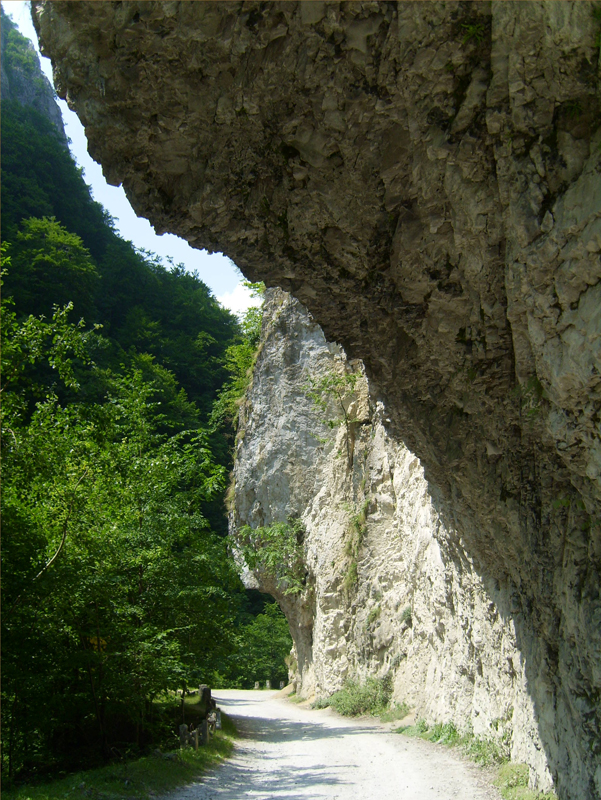 cheile_oltetului